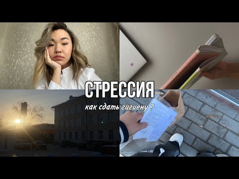 Видео: СтрЕССИЯ | экзамен по гигиене | 3 курс ОмГМУ #студентмедик #сессия #омгму