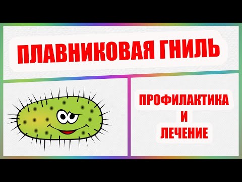 Видео: Болезни аквариумных рыбок. Плавниковая гниль. Как лечить Псевдомоноз