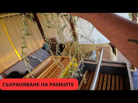 Видео: СЪХРАНЯВАНЕ НА РАМКИТЕ