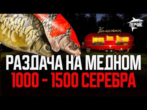 Видео: Две точки и новая сборка: 1000+ серебра в час на Медном ● Русская рыбалка 4 ● Перчик РР4