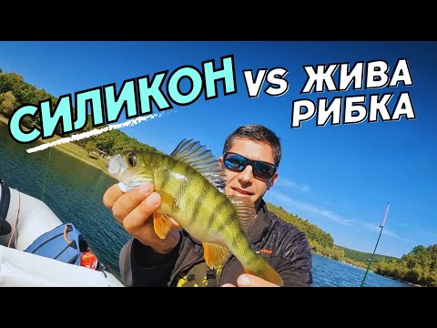 Видео: Силикон срещу жива рибка риболов на костури