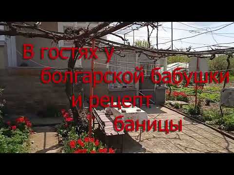 Видео: Жизнь пенсионеров в Болгарии и рецепт баницы. c.Подвис, Как готовят баницу в селах, #рецепт баницы