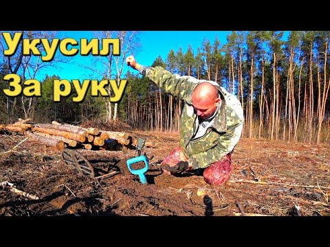 Видео: ПОПАЛ НА ВЫРУБКУ.НЕ МОГ ПОВЕРИТЬ,ЧТО НАШЕЛ.УКУСИЛ СЕБЯ ЗА РУКУ.