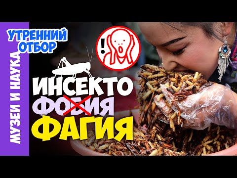 Видео: Съедобные насекомые. Есть или не есть? Игорь Фадеев