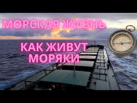 Видео: МОРСКАЯ ЖИЗНЬ - КАК ЖИВУТ МОРЯКИ