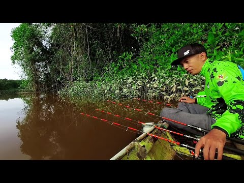 Видео: Ловля креветок в местах, удаленных от жилых районов