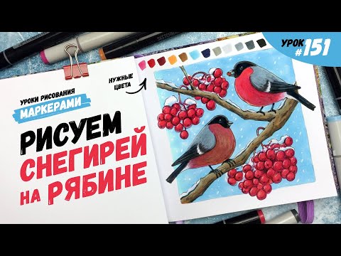 Видео: Как нарисовать снегирей на рябине? / Видео-урок по рисованию маркерами #151