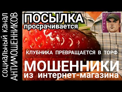 Видео: Троллинг мошеннического интернет-магазина. Чудо клубника /СКАМ