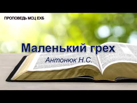 Видео: Маленький грех. Антонюк Н.С. Проповедь. МСЦ ЕХБ