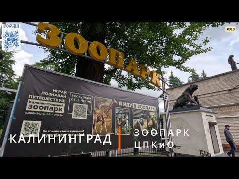 Видео: Калининград (Зоопарк, ЦПКО)