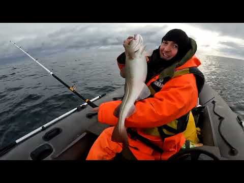Видео: МОРСКАЯ РЫБАЛКА НА БАРЕНЦЕВОМ МОРЕ на Кольском полуострове. Sea fishing in the Barents Sea.