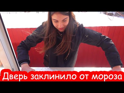 Видео: VLOG Пощёчина