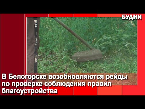 Видео: За нескошенную траву накажут