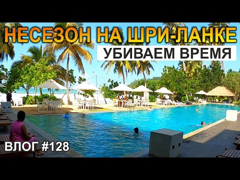 Видео: Несезонная Шри-Ланка: Мирисса и Коломбо!  Семейный Лайф Тревел Влог
