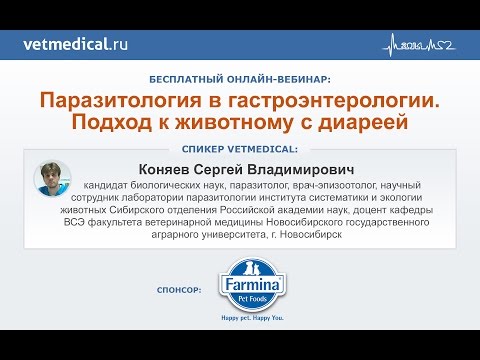 Видео: Паразитология в гастроэнтерологии  Подход к животному с диареей