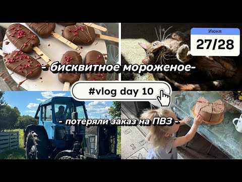 Видео: Потеряли заказ на ПВЗ | бисквитное мороженое 🍦| деревенские будни | vlog day 10