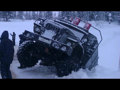 Видео: Такого никто не ОЖИДАЛ ! Нежданчики или Вот это Поворот