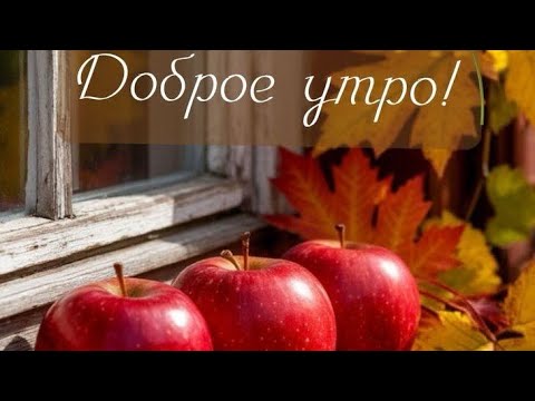 Видео: Только каждый сам решает - кто он в этой Жизни 🙏#приютсолнышко🌞🐈🐕🐱🐶🙏❤
