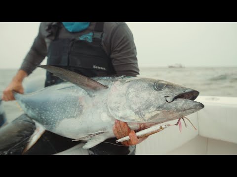 Видео: Руководство по ловле желтоперого тунца на джиг от капитана Майка #ловлятунца #hogylures #yellowfi...