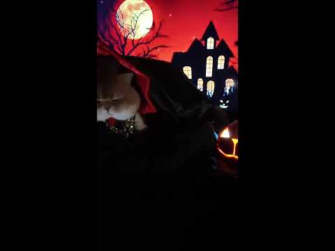 Видео: Хэллоуин Идола