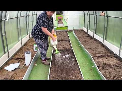 Видео: Готовлю грядки в теплице с осени