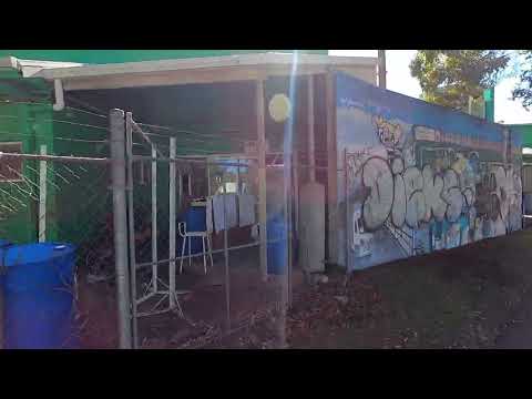 Видео: Кладбище, Каналы, Мимозы..ПРОГУЛКА ДЛЯ ЛЮБОГО ВОЗРАСТА.Серия 1. Cleveland Point. Australia