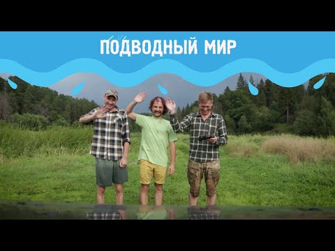 Видео: Подводный мир 2 // Вып 1