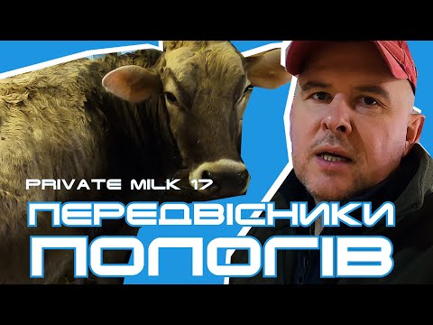 Видео: Передвісники пологів | Private Milk | Травецький