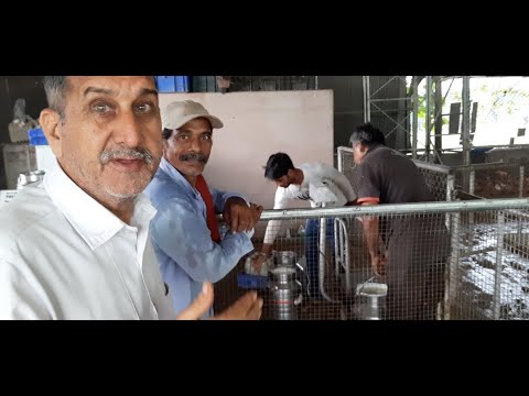 Видео: Утро на Ферме, Молочное Хозяйство в Индии Панджаб Чандигар, Прасад от Девушки, Делаю домашний Йогурт