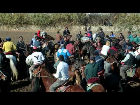 Видео: Бузкаши Эсанбобо Турсунзода. Купкари ( улок ) Турсунзода шахри