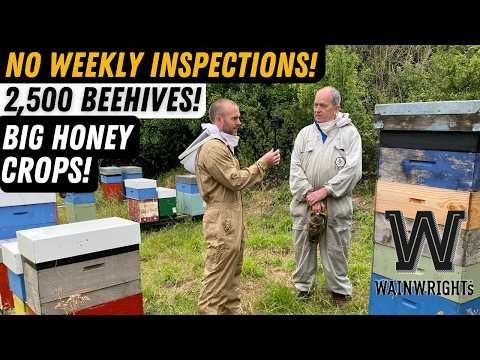 Видео: Как управлять тысячами ульев с Дэвидом Уэйнрайтом. Пчелиная ферма Уэйнрайта