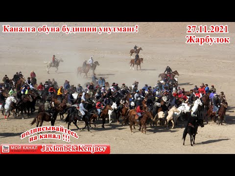 Видео: Улоки Жарбулок (жаркутан) 27.11.2021/Купкари 2021