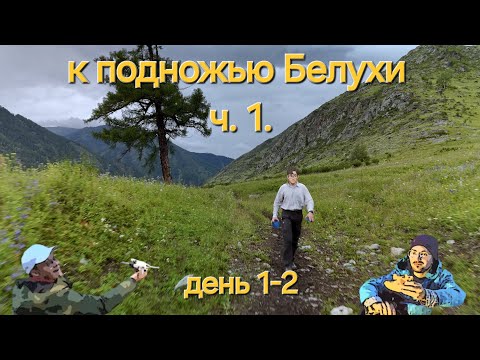 Видео: Республика Алтай. Горный поход к подножью г. Белуха. часть 1