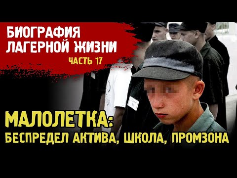Видео: ШКОЛА В ЗОНЕ / БЕСПРЕДЕЛ АКТИВА / ЗА ОДНОГО СТРАДАЮТ ВСЕ / БИОГРАФИЯ