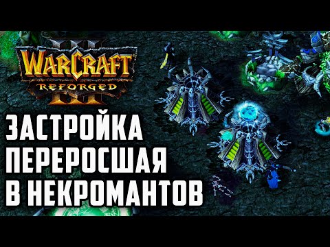 Видео: Застройка переросшая в Некромантов: TGW (Ud) vs Cash (Ne) Warcraft 3 Reforged