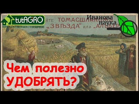 Видео: КАКИЕ УДОБРЕНИЯ ЛУЧШЕ? Безопасные, эффективные и даже БЕСПЛАТНЫЕ. Самые БЕЗОПАСНЫЕ удобрения вас!