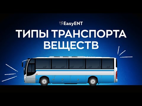 Видео: Типы транспорта веществ - Вебинар по Биологии с Азатом!