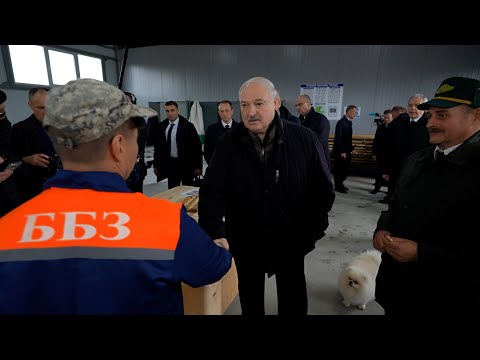 Видео: Лукашенко: Желаю тебе хорошую жену найти!