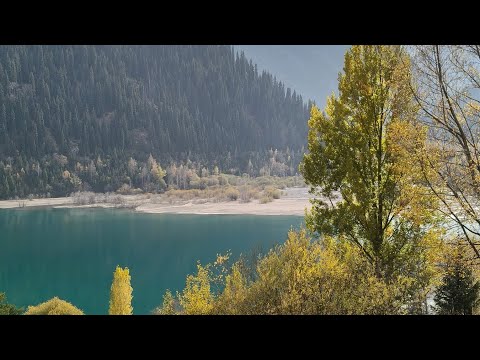 Видео: Дорога от озера Есик/Иссык до Форелевое хозяйства #video #travel #nature #almaty #kazakhstan #lake 