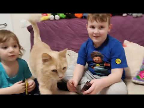 Видео: Распаковка карточек игры "ЗАКЛИНАТЕЛИ"