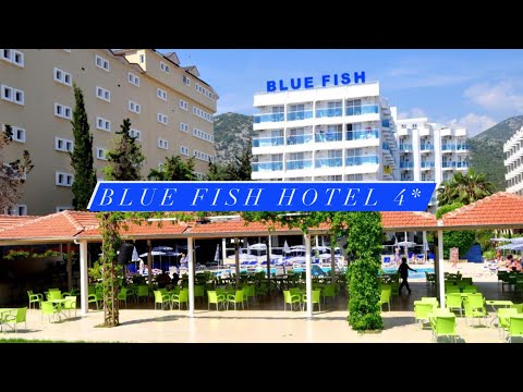 Видео: Blue Fish Hotel 4*, Турция, Аланья, Конаклы