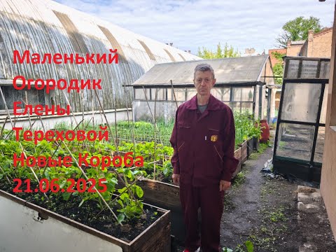 Видео: Маленький Огородик Елены Тереховой - Новые Короба 21.06.2025
