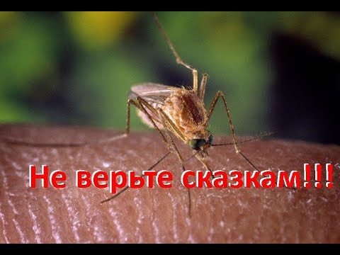 Видео: Единственное рабочее средство от комаров!!!