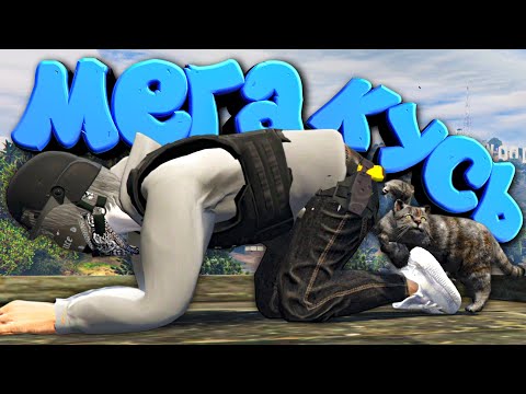 Видео: БАРСИК В ПОИСКАХ МЯТЫ 2 в GTA 5 🐅 МЕГА КУСЬ