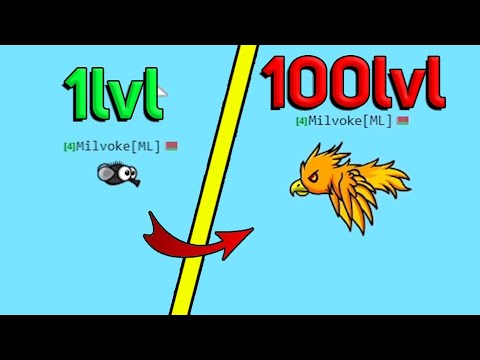 Видео: КАК БЫСТРО ПРОКАЧИВАТЬСЯ В  EvoWorld.io/FlyOrDie.io!!!