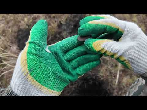 Видео: Копаю советы с Minelab EQUINOX 900