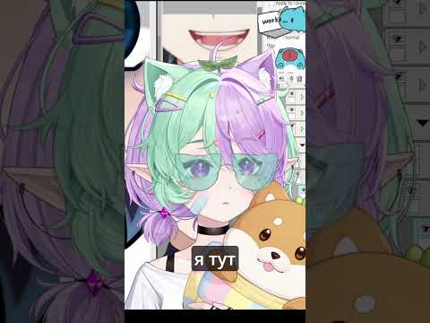 Видео: не ешь собак!