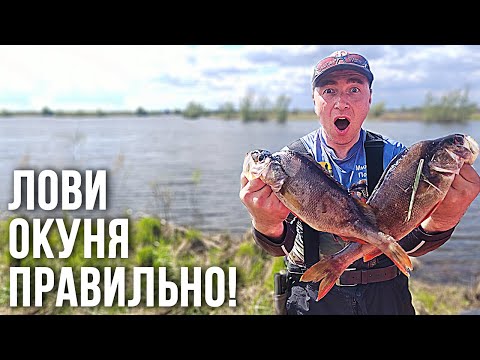 Видео: ЭТИ 5 ОШИБОК УНИЧТОЖАТ ВАШ УЛОВ ОКУНЯ! Узнайте, как их избежать! Ловля на отводной поводок