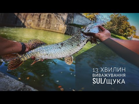 Видео: УЛЬТРАЛАЙТ проти ЩУКИ! Більше 10 хвилин боротьби.
