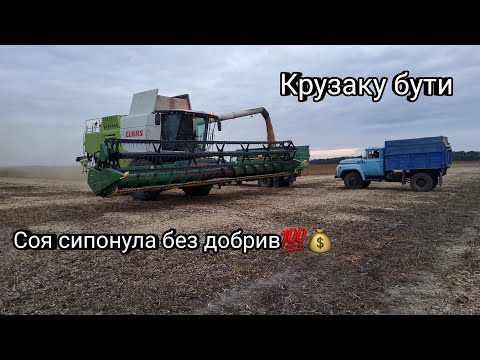 Видео: Як виростити сою не ГМО, технологія та використанні препарати за період росту!